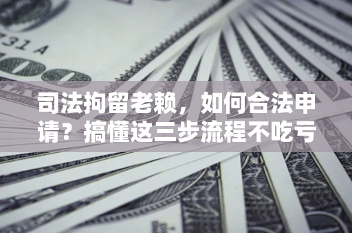 北京司法拘留老赖，如何合法申请？搞懂这三步流程不吃亏！