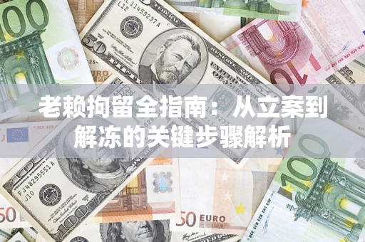 北京老赖拘留全指南：从立案到解冻的关键步骤解析